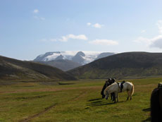 Islande et cheval islandais : randonnée équestre sur la terre de feu et de glace - Randocheval/ Absolu Voyages