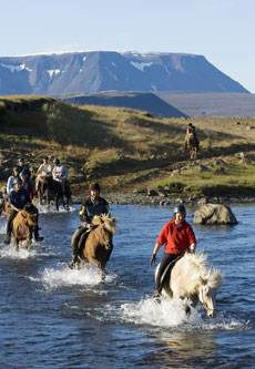 Islande et cheval islandais : randonnée équestre sur la terre de feu et de glace - Randocheval/ Absolu Voyages
