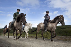 Randonnée Equestre dans la Région d'Egilsstadir, sur les traces des Vikings - Randocheval / AbsoluVoyages