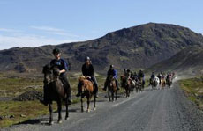 Islande et cheval islandais : randonnée équestre sur la terre de feu et de glace - Randocheval/ Absolu Voyages