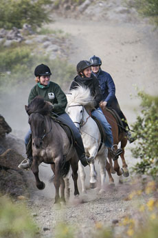 Randonnée Equestre dans la Région d'Egilsstadir, sur les traces des Vikings - Randocheval / AbsoluVoyages