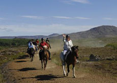 Islande et cheval islandais : randonnée équestre sur la terre de feu et de glace - Randocheval/ Absolu Voyages