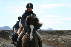 Islande et cheval islandais : randonnée équestre sur la terre de feu et de glace - Randocheval/ Absolu Voyages