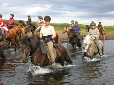 Randonnée Equestre en Islande : Nord Extrême - Randocheval / Absolu Voyages