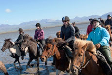 Randonnée Equestre dans la Région d'Egilsstadir, sur les traces des Vikings - Randocheval / AbsoluVoyages