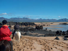 Randonnée Equestre dans la Péninsule de Snaefellsnes en Islande - Randocheval