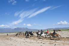 Islande et cheval islandais : randonnée équestre sur la terre de feu et de glace - Randocheval/ Absolu Voyages