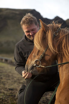 Islande et cheval islandais : randonnée équestre sur la terre de feu et de glace - Randocheval/ Absolu Voyages