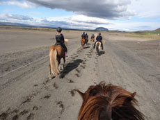 Islande et cheval islandais : randonnée équestre sur la terre de feu et de glace - Randocheval/ Absolu Voyages