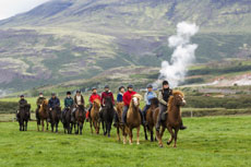 Islande et cheval islandais : randonnée équestre sur la terre de feu et de glace - Randocheval/ Absolu Voyages