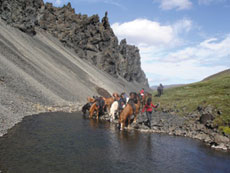 Islande et cheval islandais : randonnée équestre sur la terre de feu et de glace - Randocheval/ Absolu Voyages