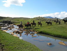 Randonnée Equestre dans la Région d'Egilsstadir, sur les traces des Vikings - Randocheval / AbsoluVoyages