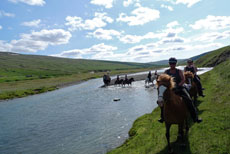 Islande et cheval islandais : randonnée équestre sur la terre de feu et de glace - Randocheval/ Absolu Voyages