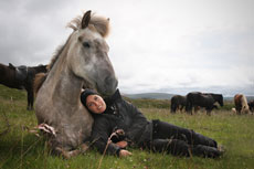 Islande et cheval islandais : randonnée équestre sur la terre de feu et de glace - Randocheval/ Absolu Voyages